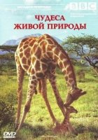 BBC: Чудеса живой природы/Natures Great Events