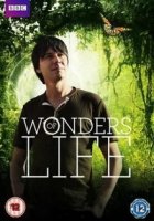 BBC: Чудеса жизни/Wonders of Life