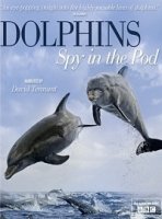 BBC: Дельфины. Шпион в стае/Dolphins. Spy In The Pod