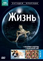 BBC: Жизнь/BBC: Life