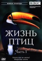 BBC: Жизнь птиц/The Life of Birds