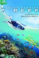 Большой барьерный риф/Great Barrier Reef