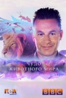 Чудо животного мира/Wonder of Animals