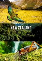 Дикая природа Новой Зеландии/Wild New Zealand