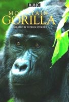 Горная горилла/Mountain Gorilla