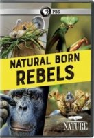 Прирожденные бунтари/Natural Born Rebels