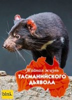 Тайная жизнь тасманийского дьявола/Secret Life of the Tasmanian Devil