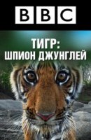 Тигр: Шпион джунглей/Tiger: Spy in the Jungle