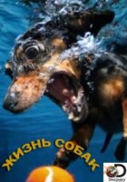 Жизнь собак/Dogs The Untold Story