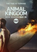 По волчьим законам/Animal Kingdom 3 сезон