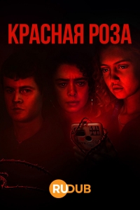 Красная роза/Red Rose