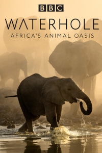 Водопой: Африканский Оазис для Животных/Waterhole: Africas Animal Oasis