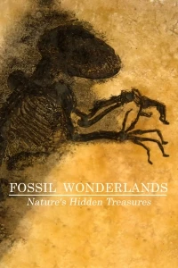 Страна чудесных ископаемых - тайные сокровища природы/Fossil Wonderlands: Nature's Hidden Treasures