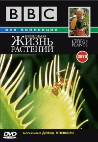 Невидимая жизнь растений/The Private Life of Plants