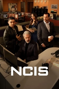 Морская полиция. Спецотдел./NCIS 22 сезон