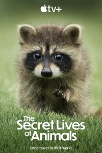 Тайная жизнь животных/The Secret Lives of Animals