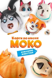 Корги по имени Моко. Домашние животные/Flying MOCO - Pet House 1 сезон