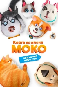 Корги по имени Моко. Домашние животные/Flying MOCO - Pet House 2 сезон