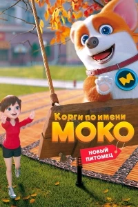 Корги по имени Моко. Новый питомец/Flying MOCO - House Has A Short-Leg